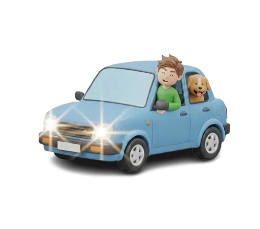 despachante-documentalista-em-goias