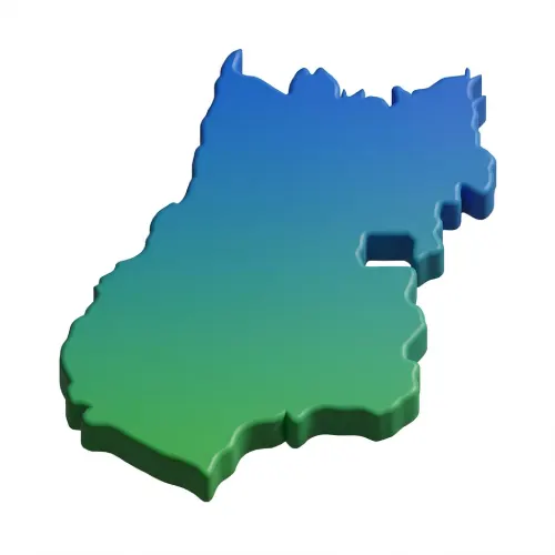 silhueta-goias-despachante