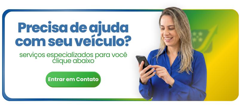 Despachante em Goias 1